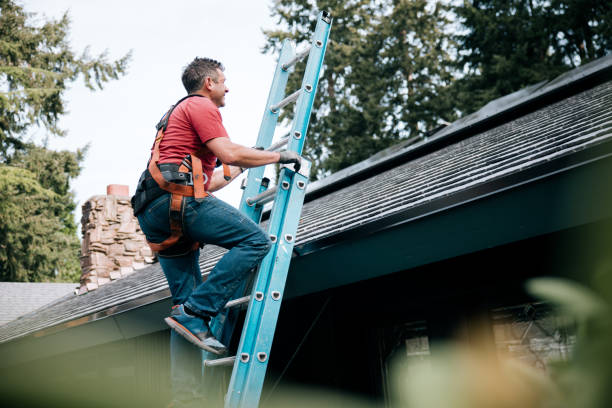 Best Gutter Installation and Repair  in Rogersville, AL